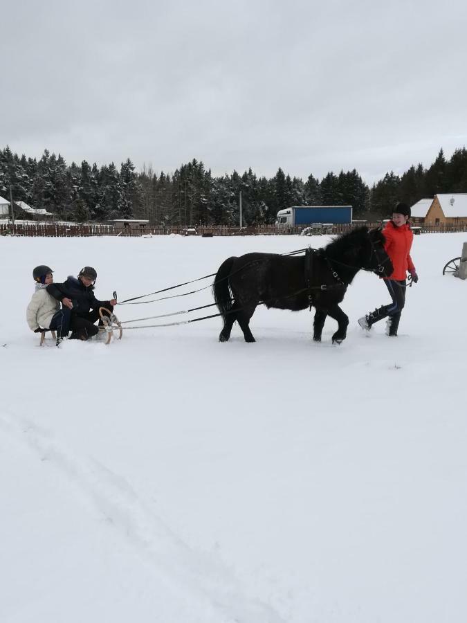 Farma Ranch Jelemek Lejlighed Nebahovy Eksteriør billede