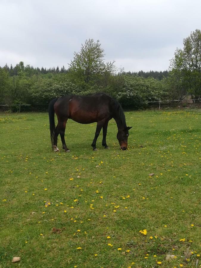 Farma Ranch Jelemek Lejlighed Nebahovy Eksteriør billede